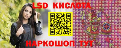 дживик Кандалакша